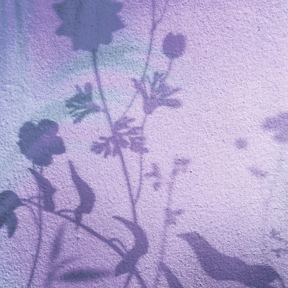 10 Tapetenmuster-Serien Creativespace